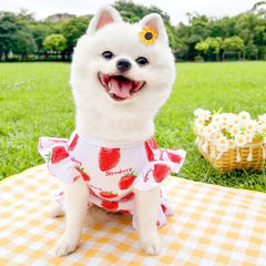Princess Dog Dress 🍓 Cute Strawberry Summer Outfit for Small Dogs & Cats