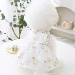 Fashion Print Summer Dog Dress 🌸 Sweet Bow Princess Outfit for Small Dogs & Cats