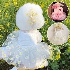 Summer Princess Dog Dress 🌸 Lightweight Skirt for Small Dogs & Puppies