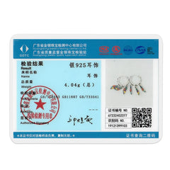 925 Silver Hoop Earrings for Women – Zircon Heart & Star Drops