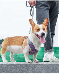 Adjustable Reflective Dog & Cat Harness – Mesh Pet Vest