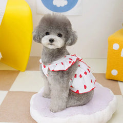 Strawberry Dog Dress 🍓 Cute Summer Outfit with Bow for Small Dogs & Cats