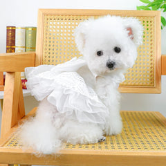 White Haute Couture Pet Dress 👑 Elegant Summer Wedding Outfit for Dogs & Cats