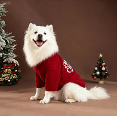 Pet Christmas Clothes Classic Merry Christmas Print Fall Winter Pet Clothing for Large Dogs Christmas Holiday Outfit Atmosphere
