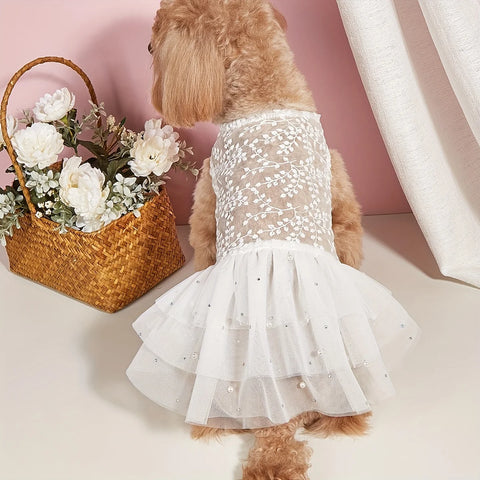 Summer Mesh Pet Dress 💐 Wedding & Party Outfit for Dogs & Cats