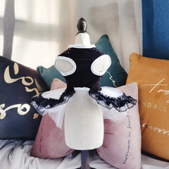 Polka Dot Tutu Dog Dress 🎀 Elegant Black & White Lace Outfit for Pets