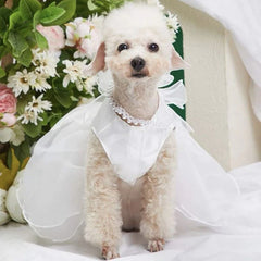 White Dog Wedding Dress 👑 Luxury Bridal Outfit for Small Dogs