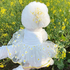 Summer Princess Dog Dress 🌸 Lightweight Skirt for Small Dogs & Puppies