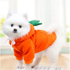 Fruit Fleece Dog Hoodie 🍓 Warm Winter Outfit for Small Dogs & Cats