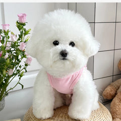 Lightweight Dog Vest 🌤 Breathable Summer Outfit for Small Dogs & Cats