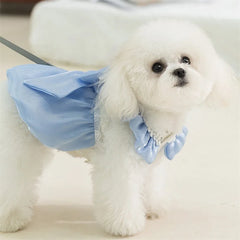 Adorable Tutu Dog Dress 🎀 Lace Princess Outfit for Small Dogs & Cats