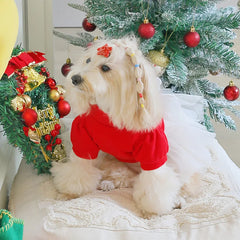 Christmas Plaid Dog Dress 🎄 Warm Winter Outfit for Small Dogs & Cats