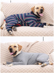 Dog Recovery Suit After Surgery – Anti-Lick, Anxiety-Calming, Hair Loss & Wound Protection Shirt