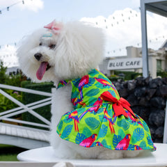 CuteBone Summer Dog Dress 🌸 Adorable Skirt Outfit for Small Dogs