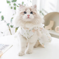 Luxury Summer Dog Dress 🎀 Lace Mesh Bow Outfit for Small Dogs & Cats