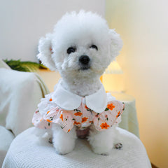 Floral Spring Pet Dress 🌼 Idyllic Princess Skirt for Dogs & Cats