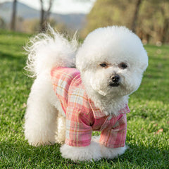 Summer Plaid Pet Shirt – Cotton Vest for Small Dogs