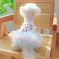 White Ballet Birthday Princess Pet Dress – Lightweight Hoodie Outfit for Small & Medium Dogs