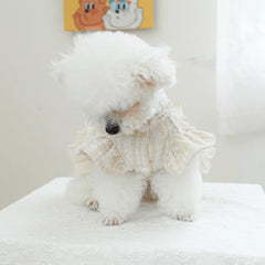 Luxury Princess Dog Dress 👑 Fancy Autumn/Winter Outfit for Small Dogs