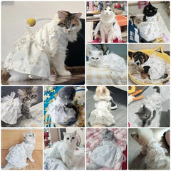 Fashion Print Summer Dog Dress 🌸 Sweet Bow Princess Outfit for Small Dogs & Cats