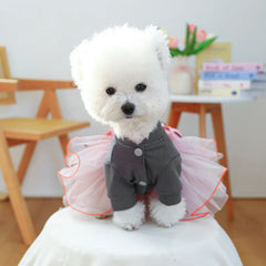 Fancy Bowtie Pet Dress – Luxury Summer Outfit for Dogs & Cats