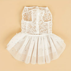 Summer Mesh Pet Dress 💐 Wedding & Party Outfit for Dogs & Cats