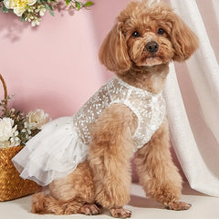 Summer Mesh Pet Dress 💐 Wedding & Party Outfit for Dogs & Cats
