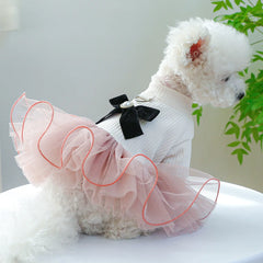Spring Summer Pet Tutu Dress 🌸 Lace Princess Outfit for Dogs & Cats