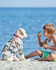 🌺 Hawaiian Style Dog Shirt – Summer Pet T-Shirt for Small & Medium Dogs  Description (Bullet Points):