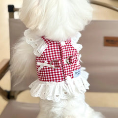 Plaid Lace Dog Harness Vest 🐾 Summer Walking Outfit for Small Dogs