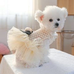 Luxury Kawaii Dog Dress 👑 Pearl Collar Princess Outfit for Small Dogs & Cats
