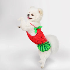 Summer Dog Dress with Bow 🍉 Cute Watermelon Skirt for Small Dogs & Cats 🐾  ✨ Description (Bullet Points)