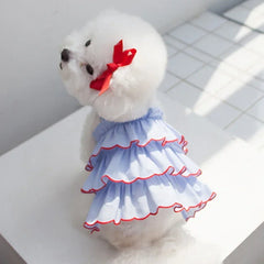 Summer Princess Dog Dress 🌸 Cute Skirt Outfit for Small Dogs & Cats