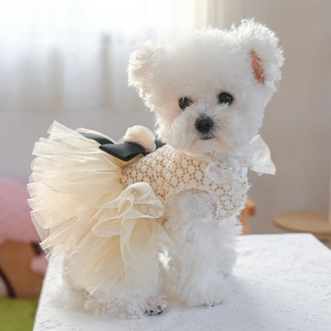 Luxury Kawaii Dog Dress 👑 Pearl Collar Princess Outfit for Small Dogs & Cats