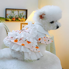 Floral Spring Pet Dress 🌼 Idyllic Princess Skirt for Dogs & Cats