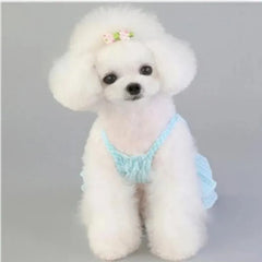 Plaid Dog Dress 👗 Pink & Blue Summer Skirt for Small Dogs & Cats