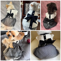 Luxury Lace Dog Dress 🎀 Elegant Summer Outfit for Small Dogs & Puppies