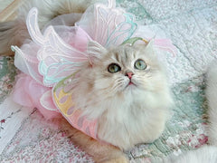 Spring Princess Dog Dress 🌸 Lace & Stripe Skirt for Dogs & Cats