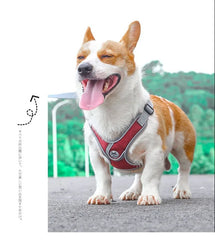 Adjustable Reflective Dog & Cat Harness – Mesh Pet Vest