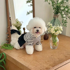 Summer Striped Dog Dress – Bow Collar Outfit for Small Dogs, Black & White Pet Clothes