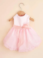 White Dog Wedding Dress 👑 Luxury Bridal Outfit for Small Dogs