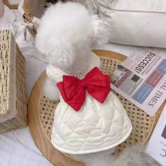 Winter Velvet Dog Dress 🎀 Thick Warm Outfit with Bow for Small Dogs & Cats