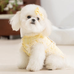 Cute Floral Lace Pet Dress Harness – Cute Spring/Summer Outfit for Small Dogs & CatsCat Dog Floral Crossbody Vest Harness - Spring/Summer Lace Dress Two-Legged Outfit for Teddy Dogs & Cats, Pet Clothes