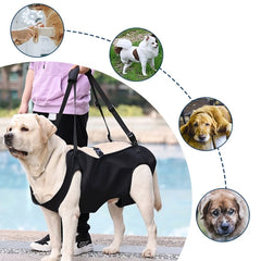 Dog Lift Harness – Support for Injured & Elderly Dogs
