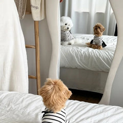 Summer Striped Dog Dress – Bow Collar Outfit for Small Dogs, Black & White Pet Clothes