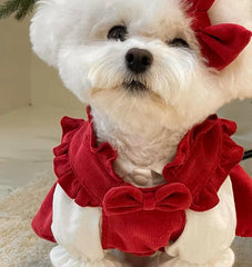 Winter Bow Knot Dog Dress Set – Warm Christmas Princess Outfit for Small Dogs & Cats