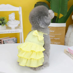 Spring Princess Dog Dress 🌸 Cute Pet Skirt for Small & Medium Dogs and Cats