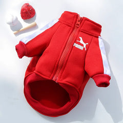 Baseball Dog Jacket 🧢 Warm Winter Sweatshirt for Small & Medium Dogs