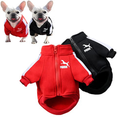 Baseball Dog Jacket 🧢 Warm Winter Sweatshirt for Small & Medium Dogs