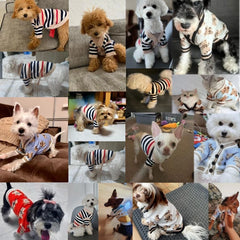 Striped Dog Cardigan – Luxury Sweater for Small Dogs & Cats
